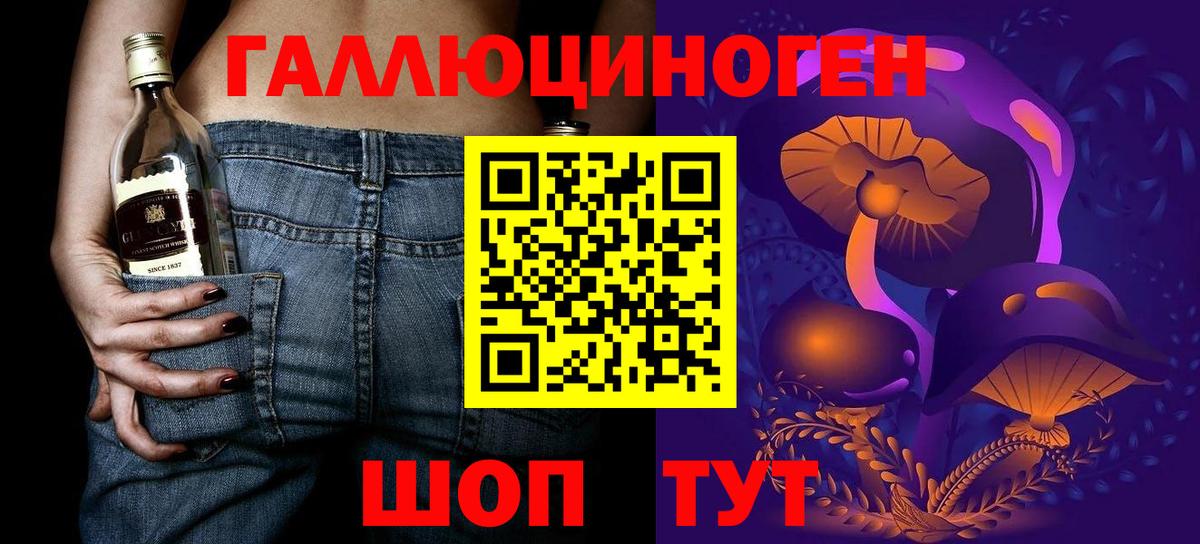 Нововоронеж  Псилоцибиновые грибы GOLDEN TEACHER  Вход с VPN 